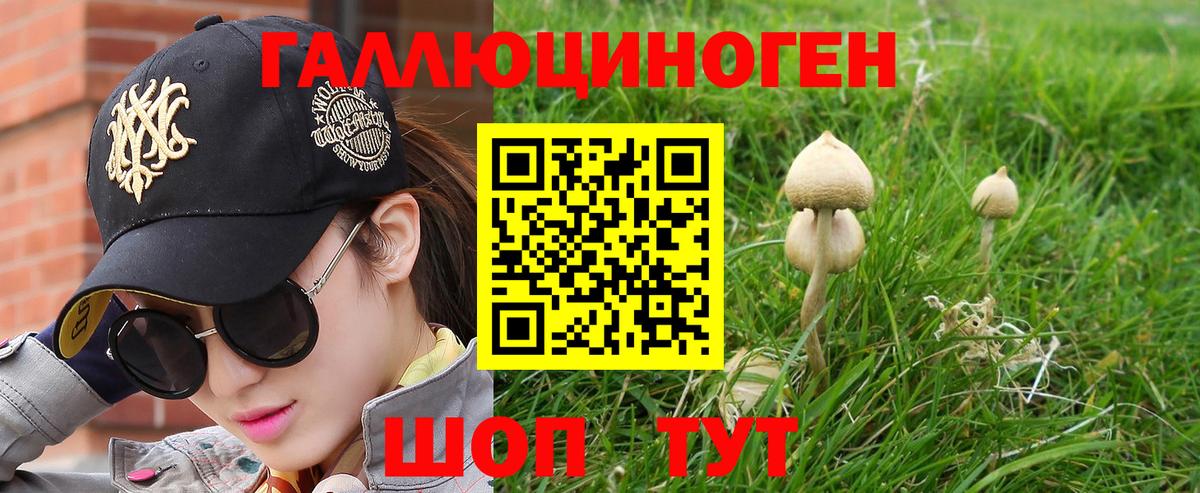 Ипатово  Галлюциногенные грибы Psilocybine cubensis  как найти наркотики  Вход с VPN 