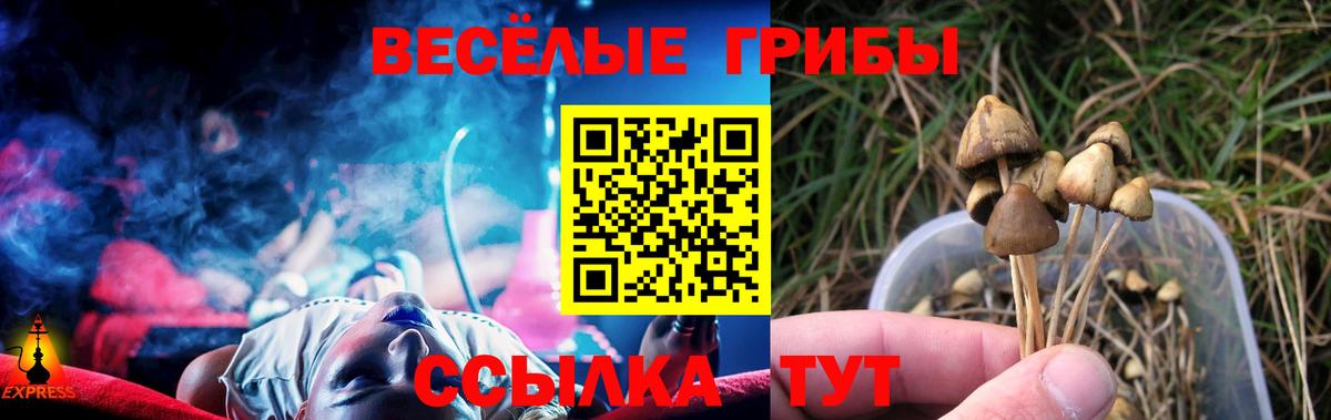 Галлюциногенные грибы GOLDEN TEACHER Ипатово
